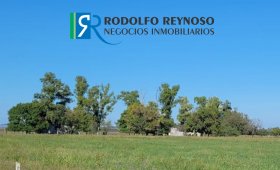 50 ha. en Villa Elisa (ER)